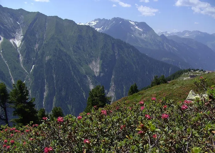 アパート Sporer *